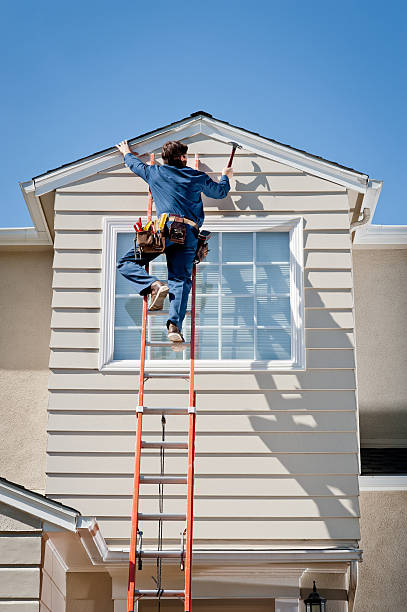 Best Steel Siding Installation  in Mount Vernon, IN